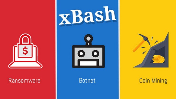 XBash - một phần mềm độc hại mới vừa được phát hiện, có khả năng phá hoại tất cả mọi thứ, bao gồm ransomware, cryptocurrency miner (đào tiền ảo), cho đến botnet.